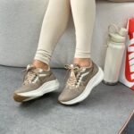 Pegasus 39 Marrom