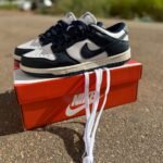 Sb Dunk Low Azul v2