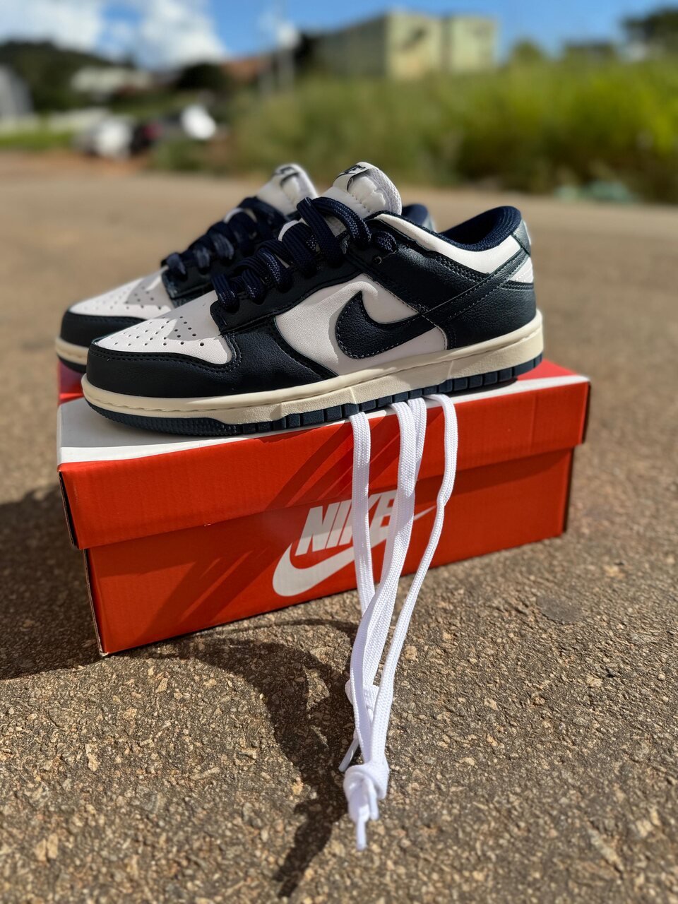 3 Sb Dunk Low Azul v2 - Imagem 1