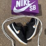 Sb Dunk Low Preto v3
